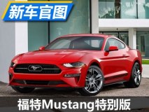 致敬经典 福特Mustang特别版官图发布