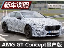 两种动力 AMG GT Concept量产版新谍照