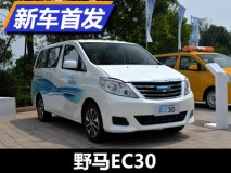 综合续航255公里 野马EC30正式亮相