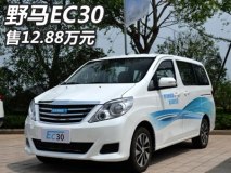 补贴前售价12.88万元 野马EC30正式上市