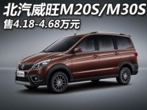 售4.18-4.68万 北汽威旺M20S/M30S上市