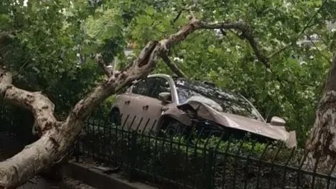 体育场路白色东风风神违规变道，导致一辆粉色蔚来冲上绿化带，梧