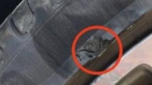 三十年老司机聊聊轮胎那些事