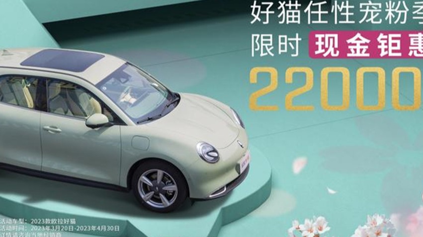 警惕降价潮“后遗症” 中国品牌高端路伤不起