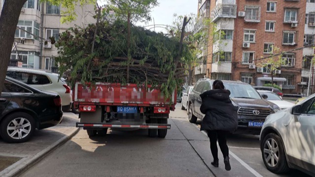 女卡车司机带来的无妄之灾：让我看到人性的双面