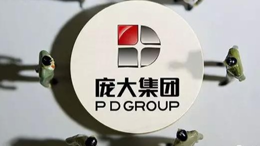 庞庆华股份再遭冻结 庞大集团破产重组仍恐难翻身