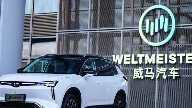 猎豹不相信威马