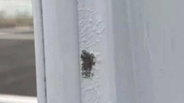 沃尔沃车门漆面起泡，上百车友中招维权