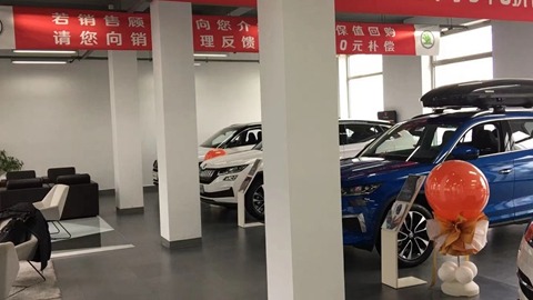 市占率不到千分之二，斯柯达在华面临“去留决”