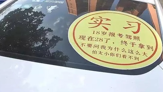 新手开车最容易犯的四个错误，实习期注意提防，别成了大冤头