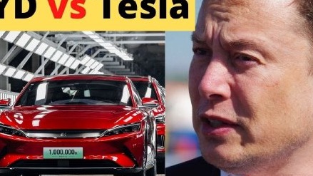 马斯克称比亚迪与特斯拉没有可比性：我们是AI/机器人公司