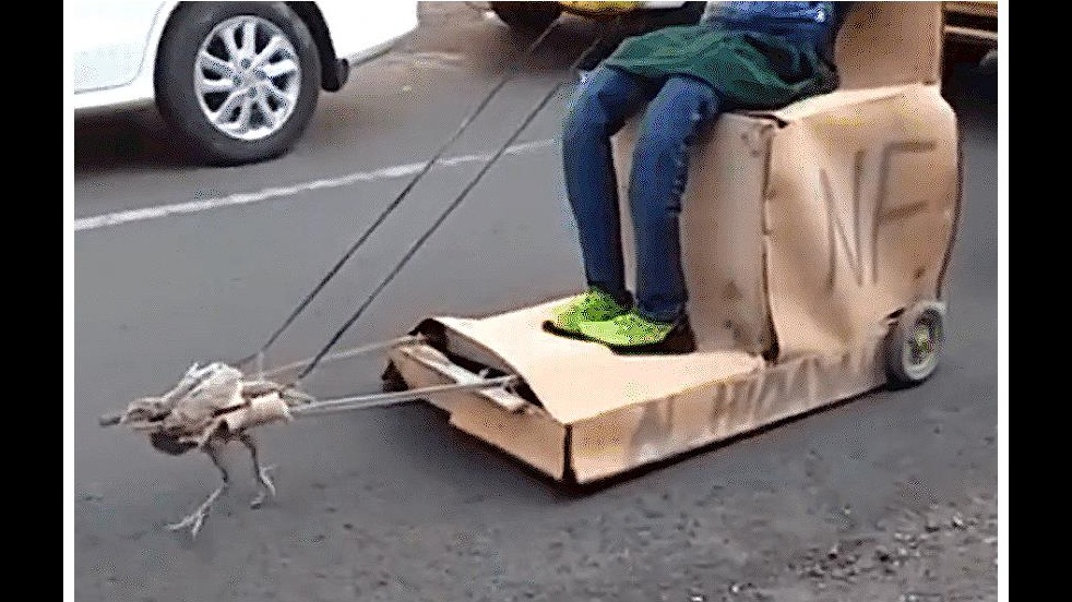 男子自制豪车 最省心“V11发动鸡”，百公里只需一袋米