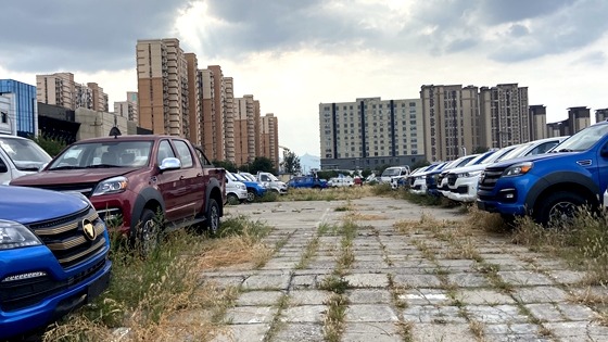 6月销量增速有望超两成，谁之功？