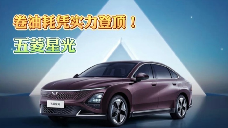 五菱星光 卷油耗凭实力登顶！