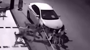 怪不得我家狗子接了个电话夺门而出