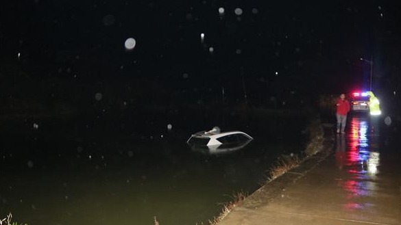 雾太大了，轿车驶进鱼塘里