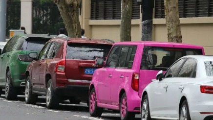 参拍人数一路下跌 “最贵铁皮”沪牌不“香”了吗