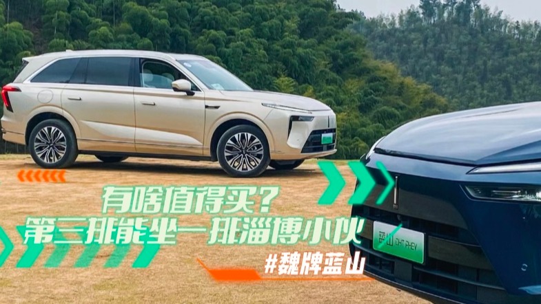 魏牌蓝山有啥值得买？第三排能坐一排淄博小伙