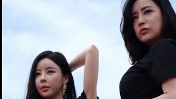 双胞胎车模让人耳目一新