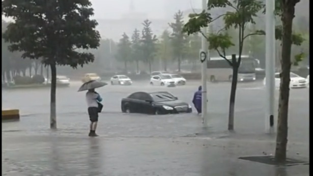  暴雨天气，奔腾汽车为适应雨天，竟学会了游泳！