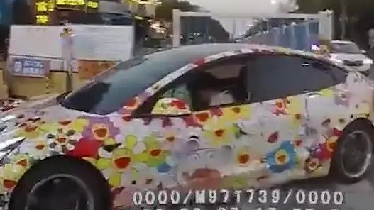 车身贴满向日葵？上海一男子被罚500元，民警：已不是初犯！