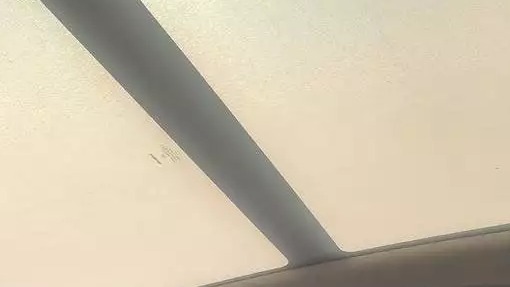 汽车全景大天幕真不实用，为何用的车越来越多？喵哥告诉你真相