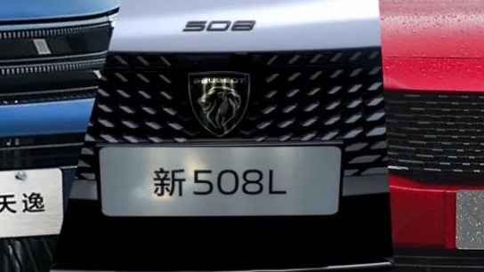 神龙汽车还能自救吗？