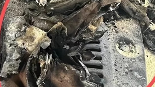 毛巾引发比亚迪自燃？网友留言：大有可能