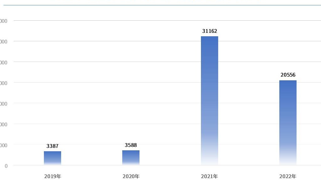 边缘车企的现状 | 新势力的再分化