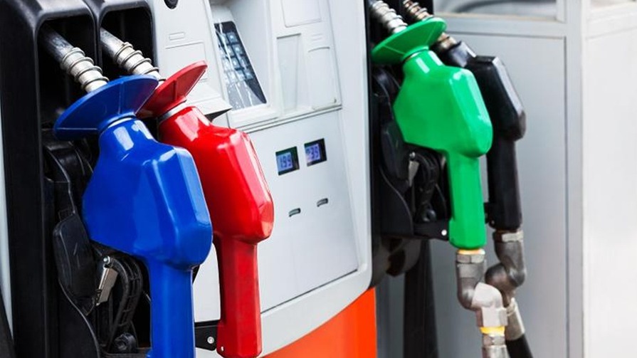 海南2030年禁售燃油车 网友：我连选择开什么车的权力都没有