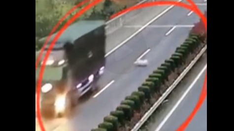  二百多斤的猪在高速跳车，估计内心慌得一批，这也太刺激了