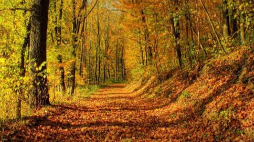 小知识|汽车秋季怎么保养？