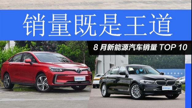 销量既是王道 2019年8月新能源汽车销量TOP 10