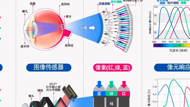 自动驾驶摄像头，它如何称王？