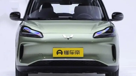 纯电小车对决，五菱缤果PLUS和比亚迪海豚，孰强孰弱？