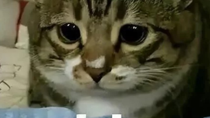 男司机20分钟的路能开一小时，只因后视镜里有车