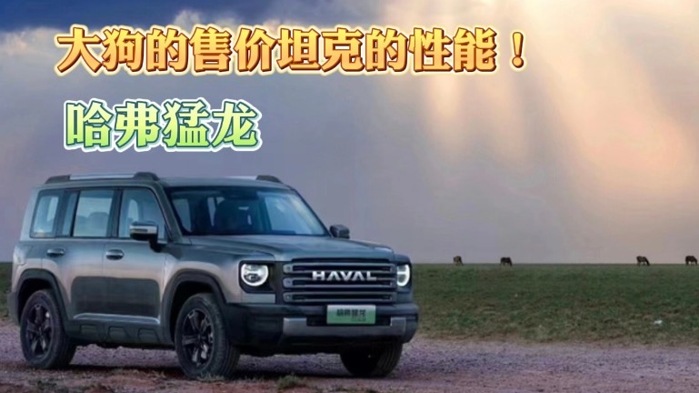 哈弗猛龙 大狗的售价坦克的性能！