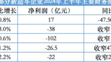 唯一盈利的理想净利下滑近50%，“蔚小零氪”挣扎求生