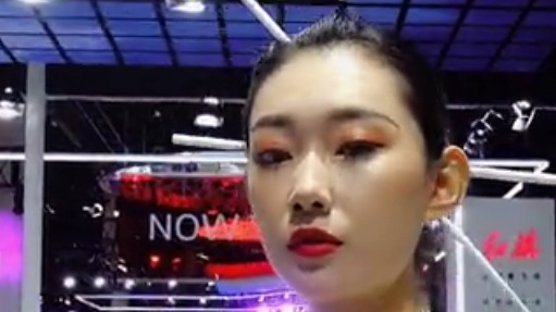 与众不同的车模