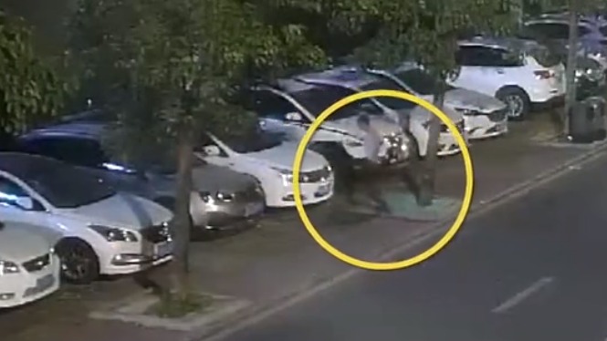 “砖头哥”醉酒连砸7辆车，只为泄心中“无名火”