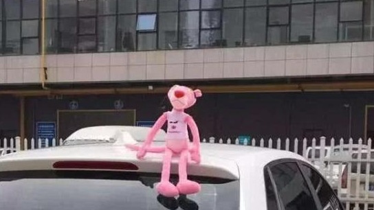 宝骏车顶放玩偶被罚，车主无奈：旁边的保时捷怎么没人管？