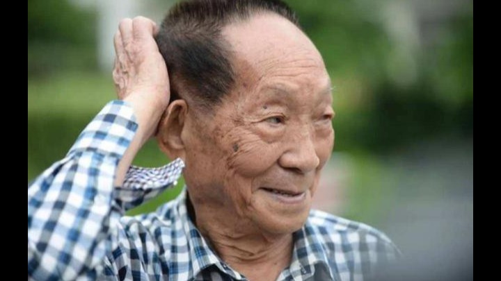 袁隆平的终身免检驾照啥样？比普通驾照多7个字！