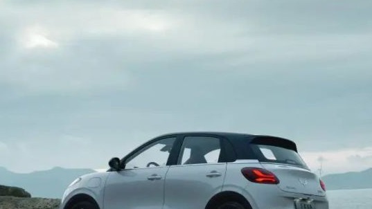 7万块，海鸥、缤果选哪个？