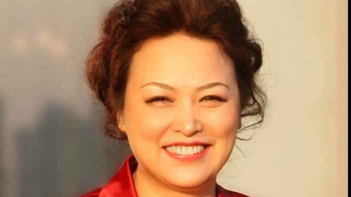 两会|长城王凤英：发挥顶层设计优势 推动电池热失控防护技术应用