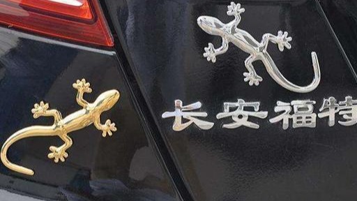 车尾贴“壁虎”有何含义？并不只为好看，修车工：现在知道不算晚