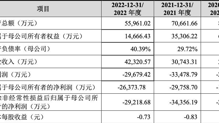 AI企业思必驰迎来“上会”大考