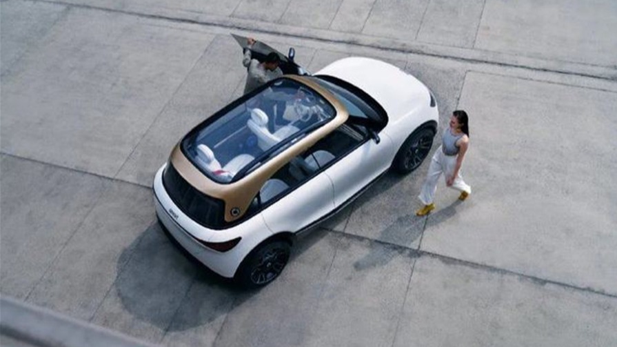 smart精灵#1车窗漏水 车主称经销商与厂家踢皮球