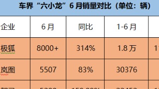 极狐6月领先、岚图半程夺冠,六小龙开始分化?