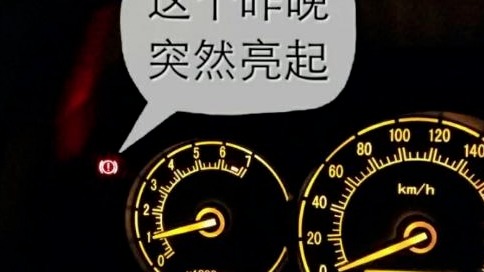 仪表盘上的“救命灯”，维修工：灯亮了就赶紧停车，生命只有一次