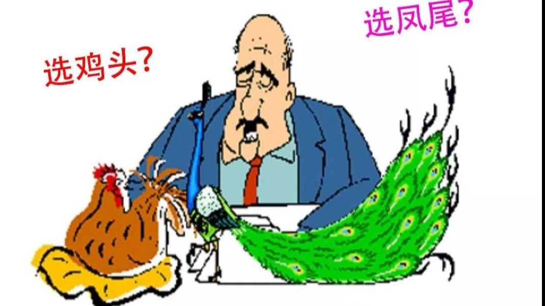 鸡头、凤尾怎么选——紧凑级高配车与中型低配车选哪一个？